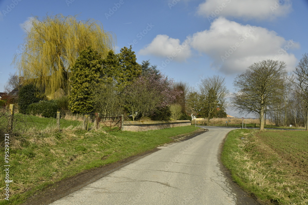 Route pour la promenade à travers la végétation luxuriante au domaine provincial de Kessel-Lo (Leuven)