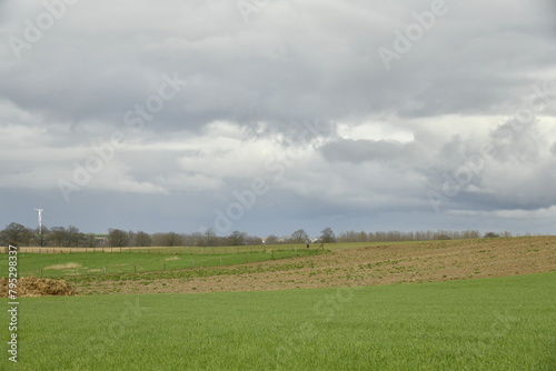 Nuages gris et sombres en fin de journée contrastant avec le vert du paysage rural aux environs de Ghislenghien (Ath)  photo