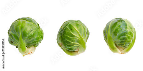 Three Vibrant Brussels Sprouts