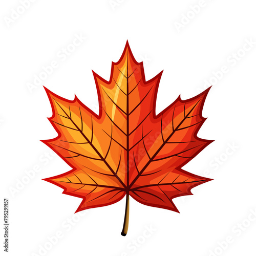 Orange and red autumn maple leaf on white background