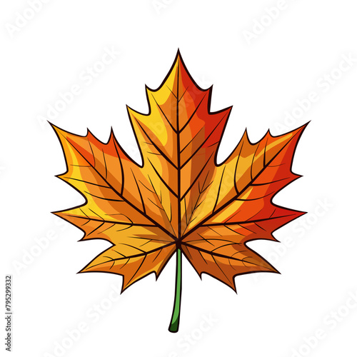 Orange and red autumn maple leaf on white background