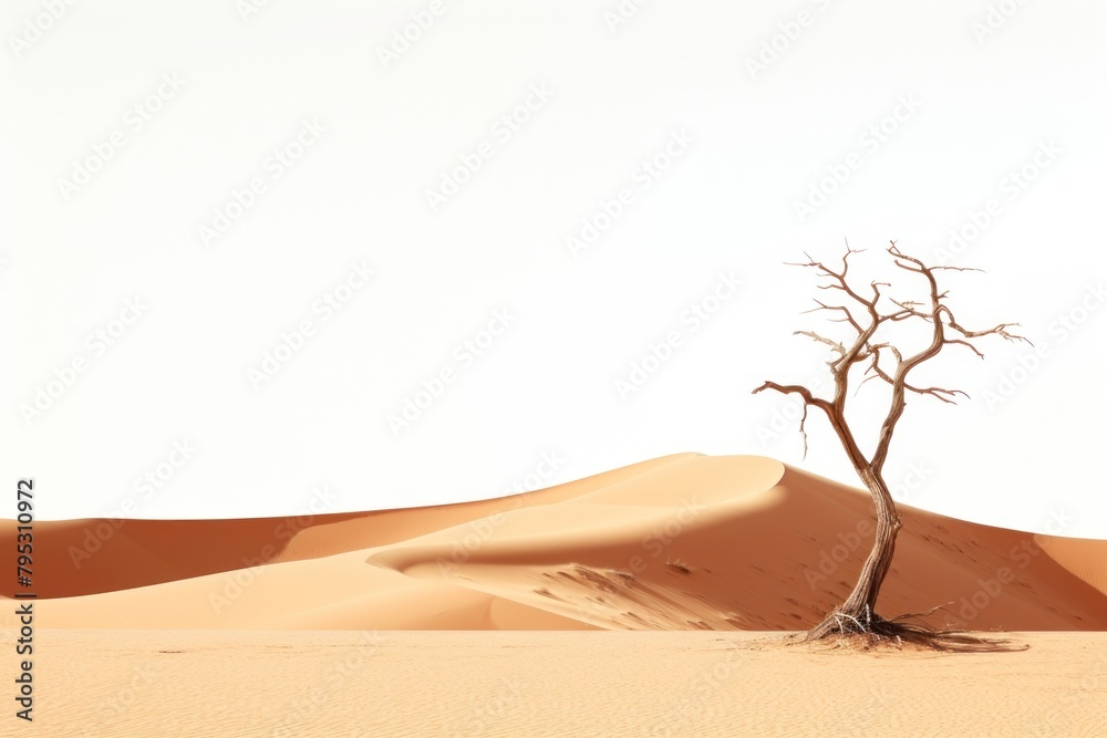 Nature desert outdoors ground