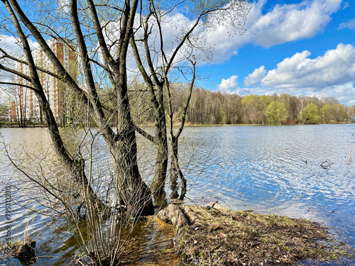 Trees on the banks of the Pekhorka River in April in clear weather. Russia, Moscow region, Balashikha city