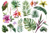 watercolor tropical summer flora illustration set