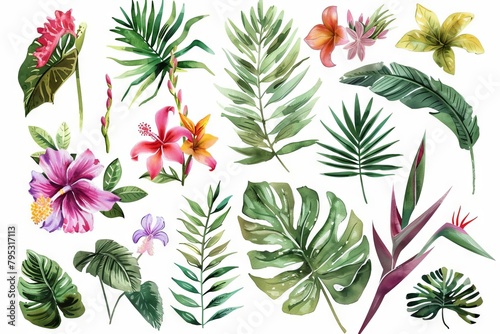 watercolor tropical summer flora illustration set