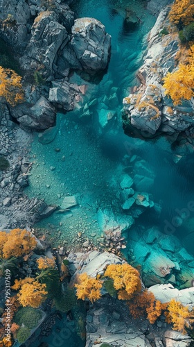 Aerial Drone view of colorful top of the forest and fall lake
