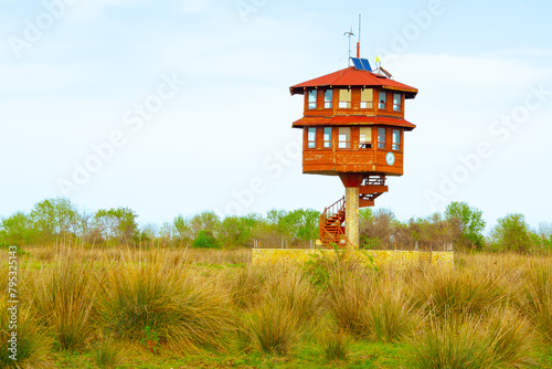 chinese temple tower