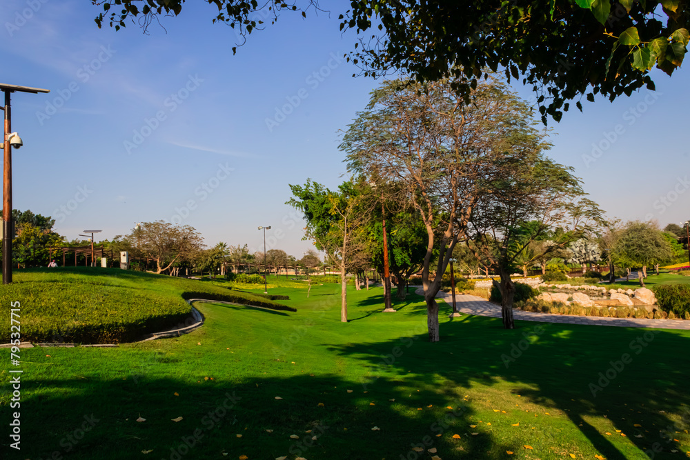 Obraz premium blue sky and park in summer. High quality 4k footage