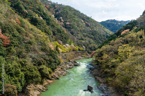 Cherry blossoms in Kyoto, Japan. Hozugawa River, Hozu Gorge.