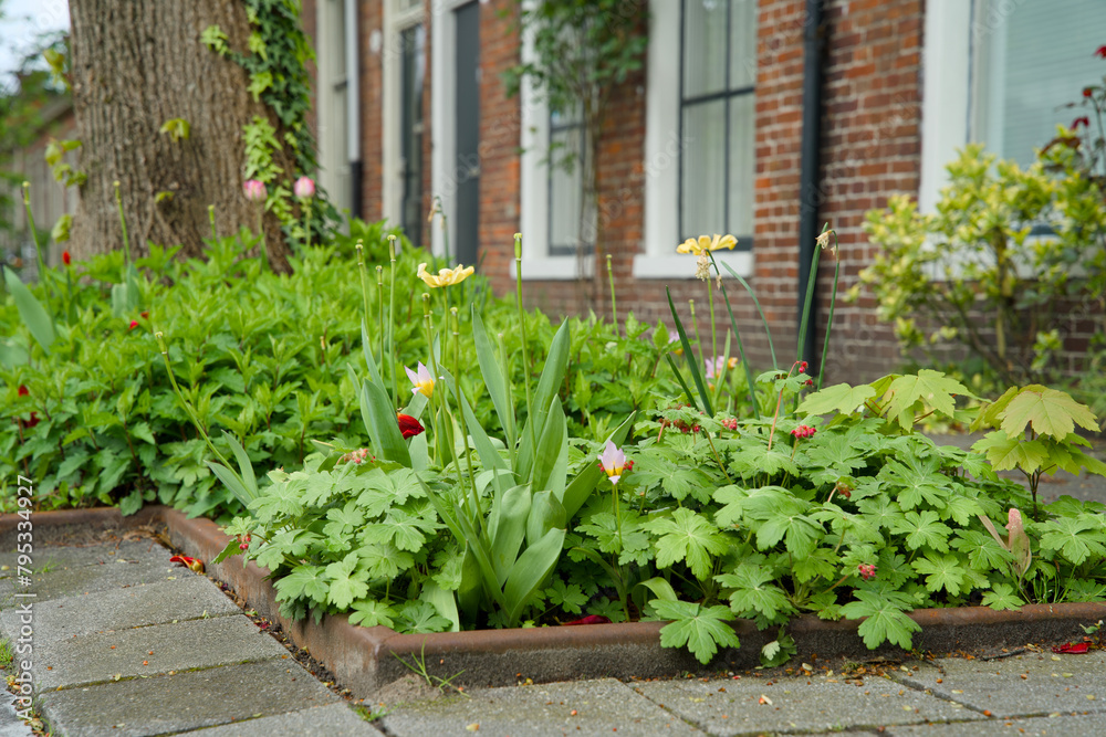 Green façade gardens and tree pit gardens for urban greening and climax adaptation Green façade gardens and tree pit gardens for urban greening and climax adaptation