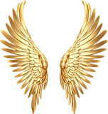 angel wings made of gold,golden angel wings isolated on white or transparent background,transparency