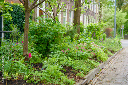 Green façade gardens and tree pit gardens for urban greening and climax adaptation © René Notenbomer