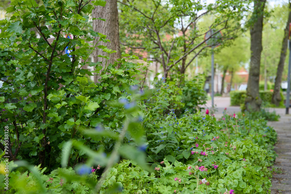 Green façade gardens and tree pit gardens for urban greening and climax adaptation Green façade gardens and tree pit gardens for urban greening and climax adaptation