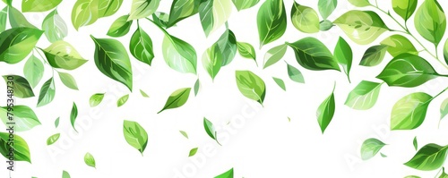 Green flying leaves on long white banner. Leaf falling. Wave foliage ornament. Vegan, eco, organic design element. Cosmetic pattern border. Fresh tea background. Beauty product. photo