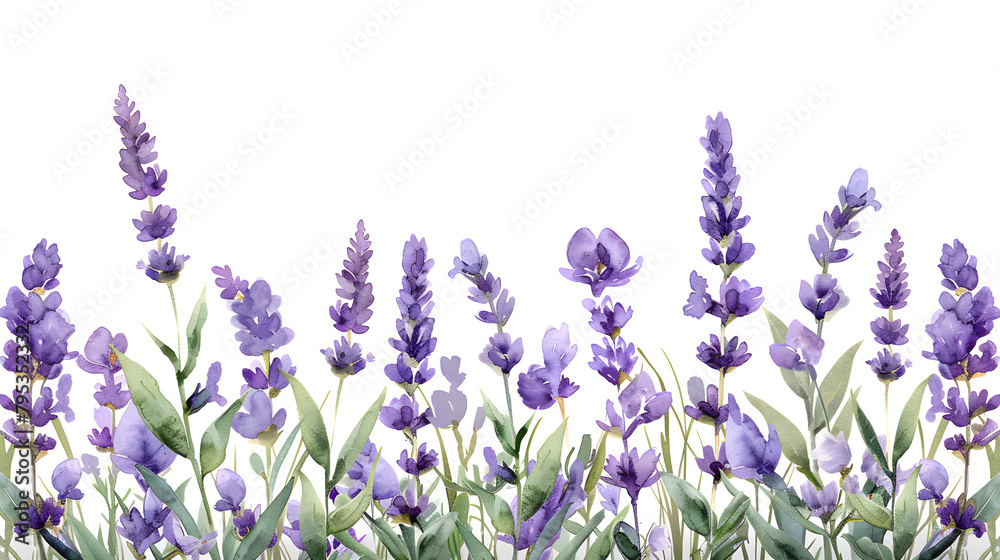 Naklejka premium Tender watercolor lavender flowers border on white background, perfect for greeting cards and wedding invitations.