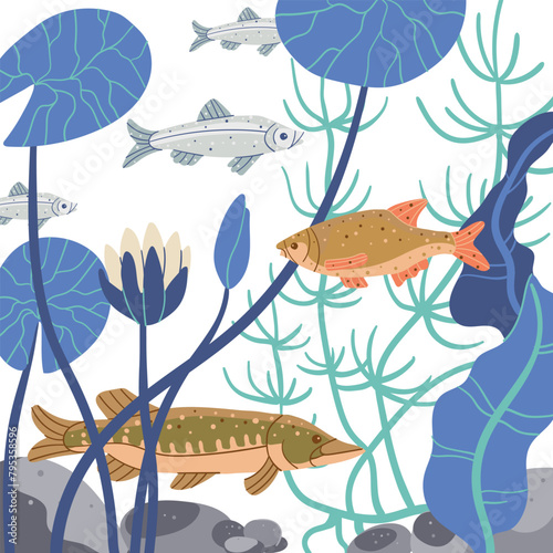 River fish swims at the bottom of the lake