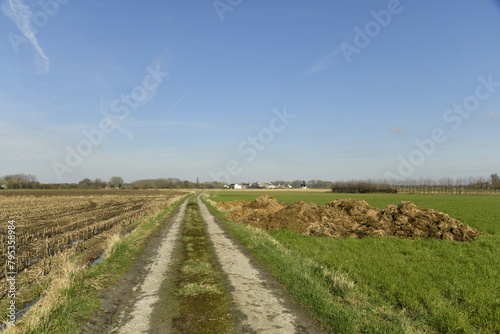 Chemin entre les champs sous un ciel bleu à Ghislenghien (Ath)