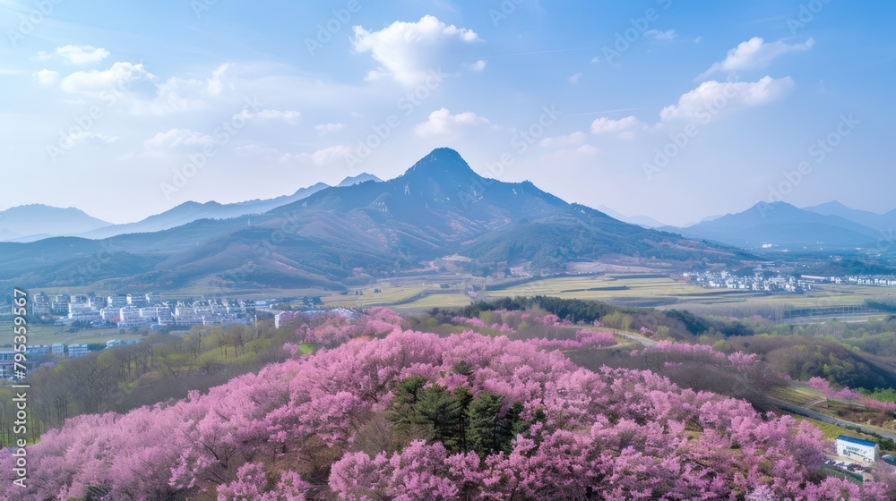 Panoramic view of Mountain during spring cherry blossom season
