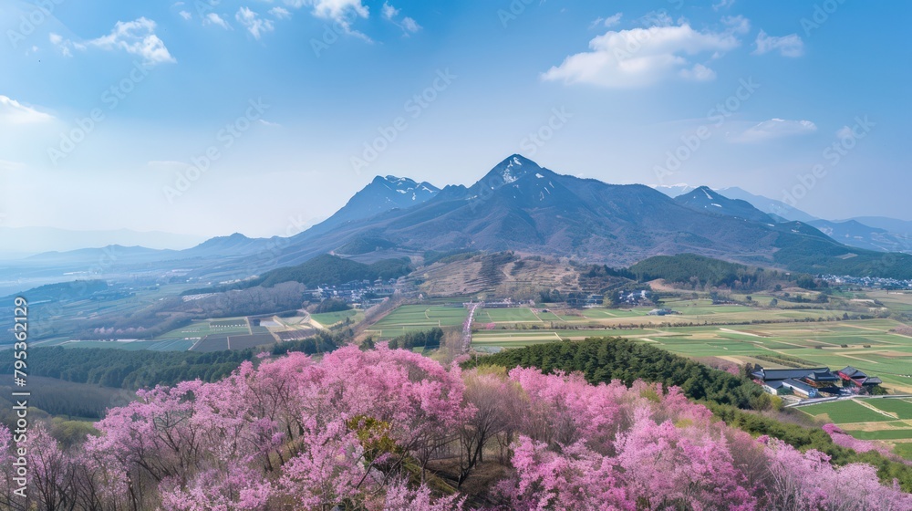 Panoramic view of Mountain during spring cherry blossom season Panoramic view of Mountain during spring cherry blossom season
