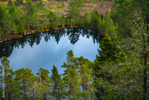 Uath Lochan in spring, aerial view of pine trees surrounding a Scottish Highland Loch in Cairngorms National Park