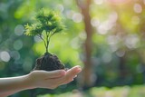 Planting trees with volunteer families for eco-friendly and corporate social responsibility campaigns. Beautiful simple AI generated image in 4K, unique.