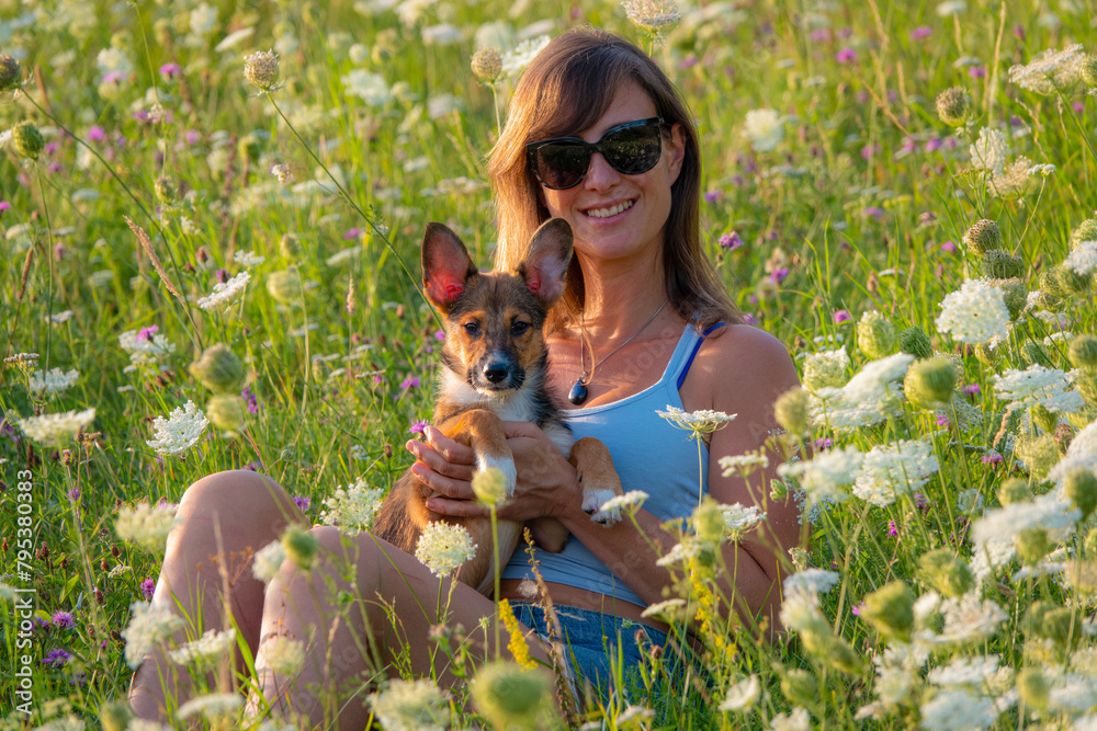 PORTRAIT, DOF: A smiling woman in sunglasses embraces her adorable young puppy as they pose in the middle of a vibrant meadow of blooming wildflowers. Moments of happiness with a cute furry companion. PORTRAIT, DOF: A smiling woman in sunglasses embraces her adorable young puppy as they pose in the middle of a vibrant meadow of blooming wildflowers. Moments of happiness with a cute furry companion.