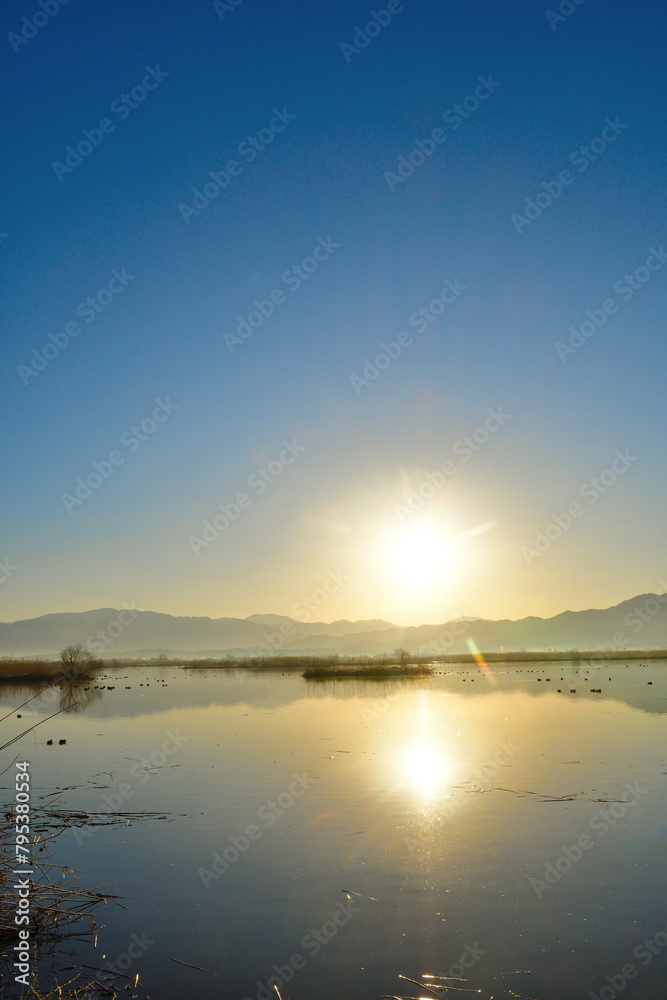 Obraz premium 朝の福島潟（新潟県）