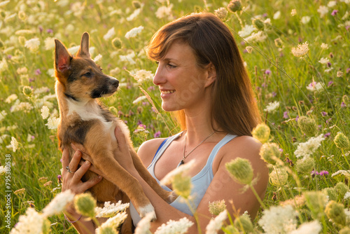 PORTRAIT, DOF: Happy dog owner holds her adorable young puppy as they sit in the middle of a meadow with blooming wildflowers in golden sunlight. Moments of happiness with a cute furry companion. © helivideo