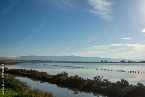 Landscape Molentargius Regional Natural Park in Cagliari City Sardinia