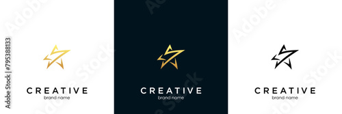 initials s logo vector template star