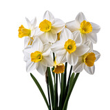 a bouquet of white and yellow flowers