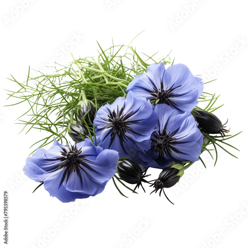 a group of blue flowers and green leaves photo