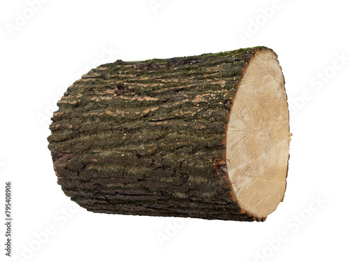 Natural sawn wooden log isolated on white background. Background of cut logs close up © Aleksei