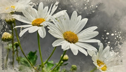 grey background white flowers with watercolor splash detail botanical illustration