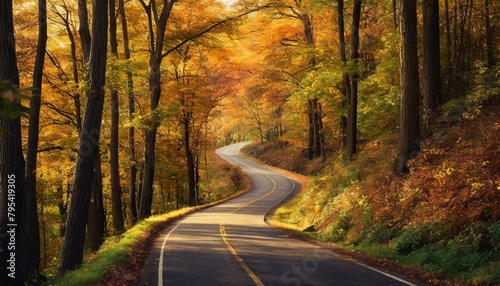 breathtaking view of a country road winding through a forest in full autumn color