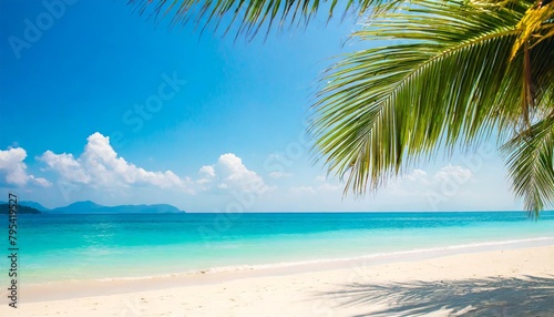 beautiful tropical blurred beach background with palm tree summer