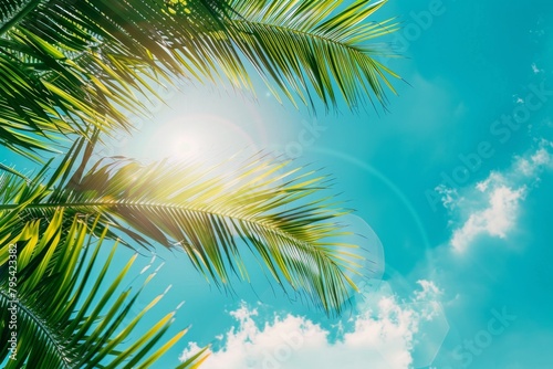 Sunlight shining through palm leaves against a blue sky. Summer tropical background 