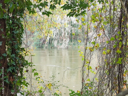 River view in frame of leaves. Sun rays through the trees. Beautiful river in tropical forest.