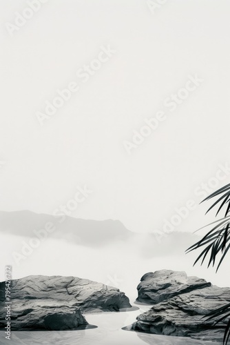 Tropical palm leaves, shadows and stones in monochrome grey gradient, minimal...