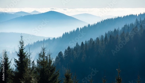misty landscape with fir forest © Mac