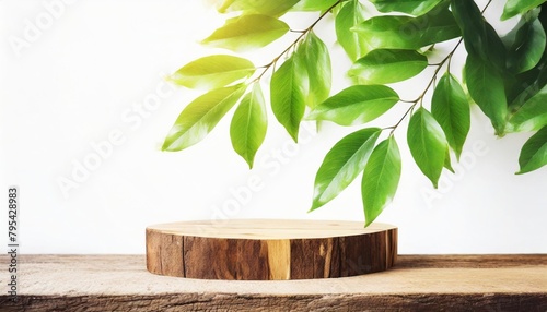 wood podium tabletop floor with tree branch green leaf on white background beauty cosmetic and healthy natural product placement pedestal platform showcase stand display spring or summer concept
