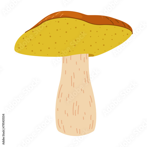 Suillus mushroom. Edible fungus. Hand drawn trendy flat style isolated on white background. Autumn forest harvest, healthy organic food, vegetarian food. Vector illustration