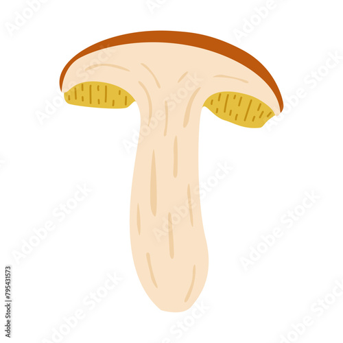 Chopped Suillus mushroom. Edible fungus. Hand drawn trendy flat style isolated on white background. Autumn forest harvest, healthy organic food, vegetarian food. Vector illustration