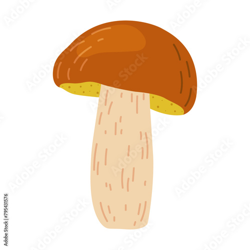Suillus mushroom. Edible fungus. Hand drawn trendy flat style isolated on white background. Autumn forest harvest, healthy organic food, vegetarian food. Vector illustration