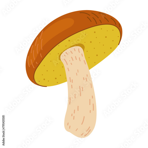 Suillus mushroom. Edible fungus. Hand drawn trendy flat style isolated on white background. Autumn forest harvest, healthy organic food, vegetarian food. Vector illustration