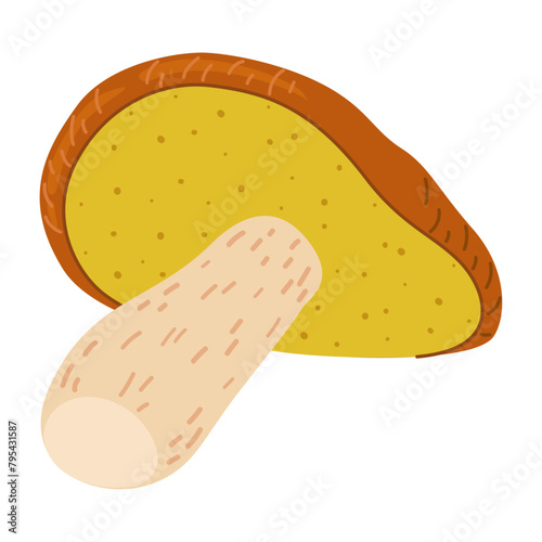 Suillus mushroom. Edible fungus. Hand drawn trendy flat style isolated on white background. Autumn forest harvest, healthy organic food, vegetarian food. Vector illustration