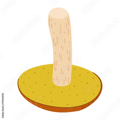 Suillus mushroom. Edible fungus. Hand drawn trendy flat style isolated on white background. Autumn forest harvest, healthy organic food, vegetarian food. Vector illustration