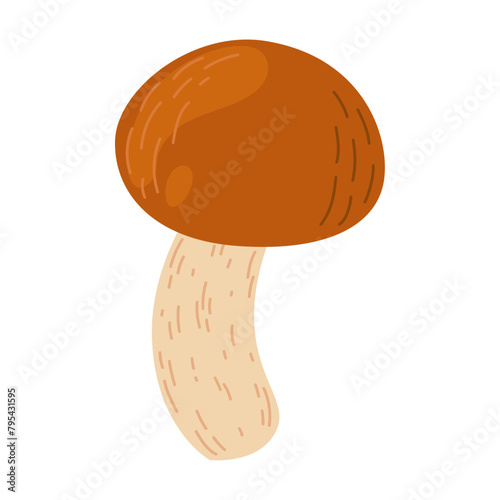 Suillus mushroom. Edible fungus. Hand drawn trendy flat style isolated on white background. Autumn forest harvest, healthy organic food, vegetarian food. Vector illustration