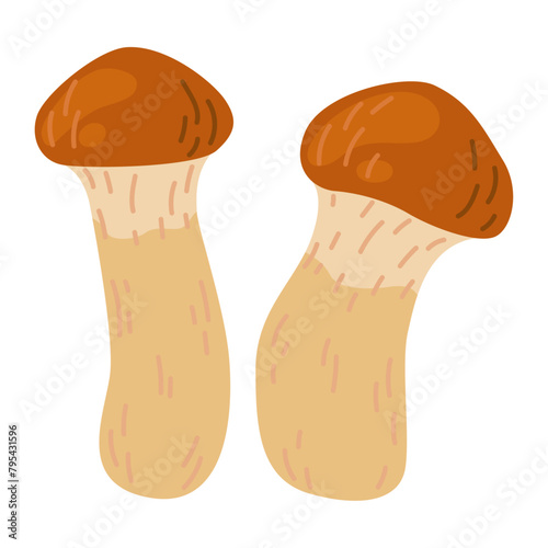 Suillus small mushrooms. Edible fungus. Hand drawn trendy flat style isolated on white background. Autumn forest harvest, healthy organic food, vegetarian food. Vector illustration