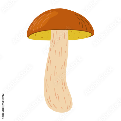 Suillus mushroom. Edible fungus. Hand drawn trendy flat style isolated on white background. Autumn forest harvest, healthy organic food, vegetarian food. Vector illustration